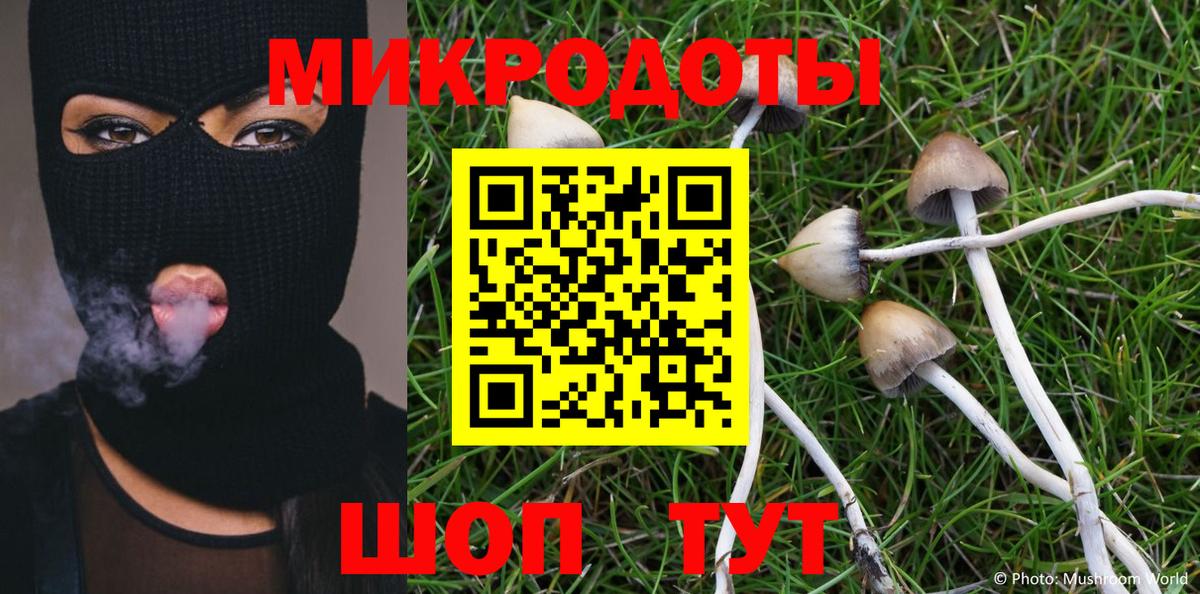 Галлюциногенные грибы Psilocybe  Галлюциногенные грибы прущие грибы  Вход с VPN  Рузаевка 